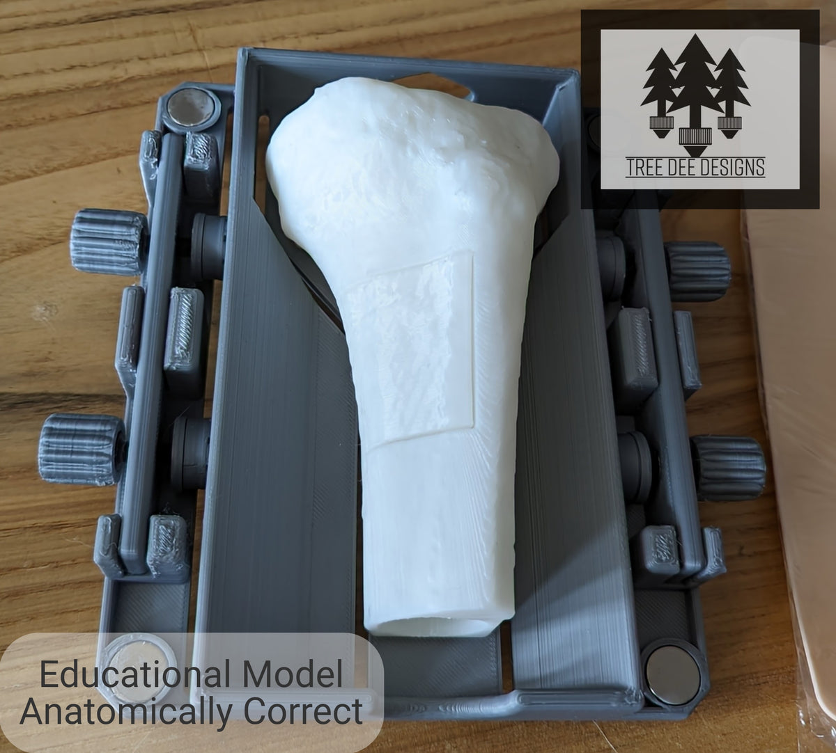 Educational Trainer - Intraosseous (IO) Tibial Plateau – Tree Dee Designs