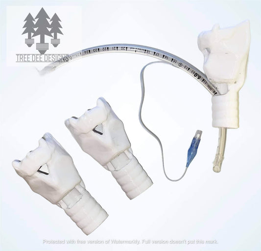 Trachea - Cric Training Model